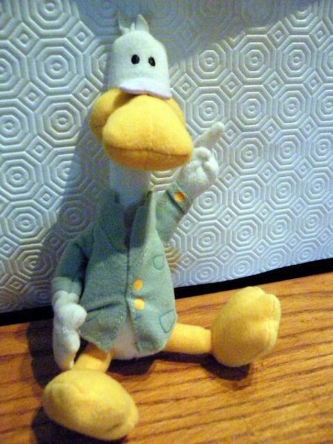 canard peluche 1 Viriat (01)