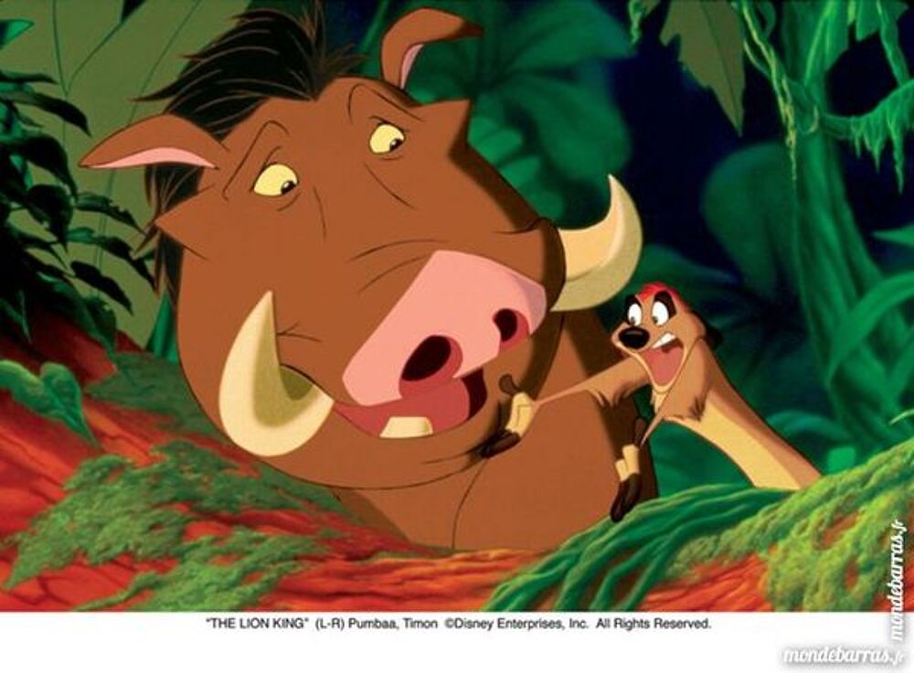 K7 Vhs Le Roi Lion (221) DVD et blu-ray