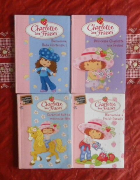 LOT DE 4 CHARLOTTE AUX FRAISES 4 Attainville (95)