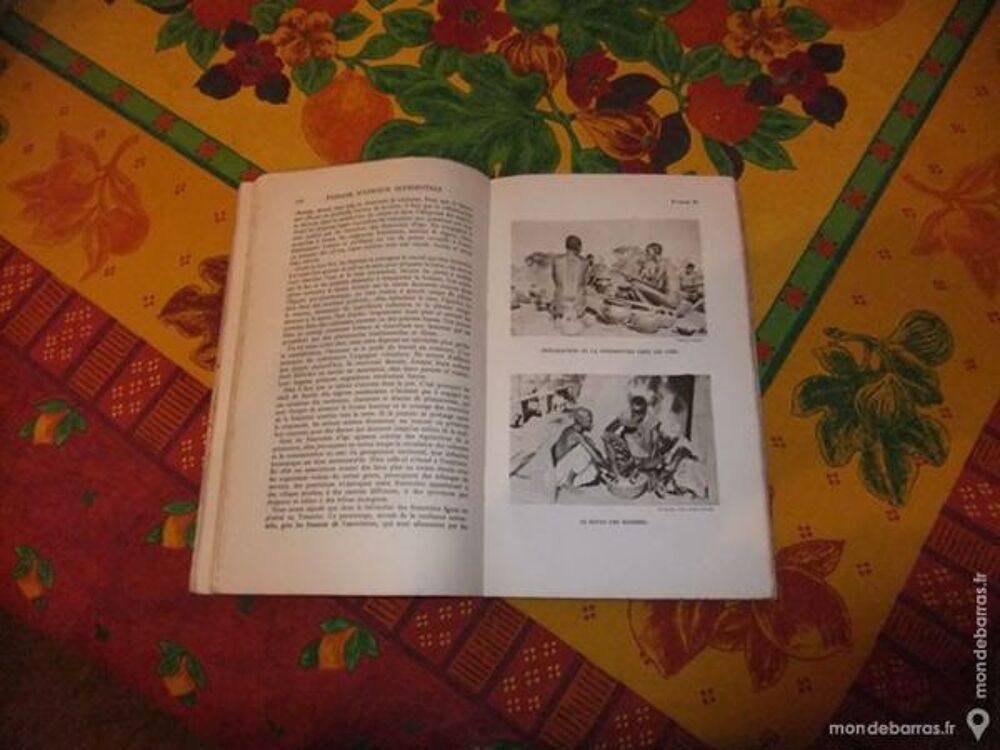 Le paysan et la terre Livres et BD