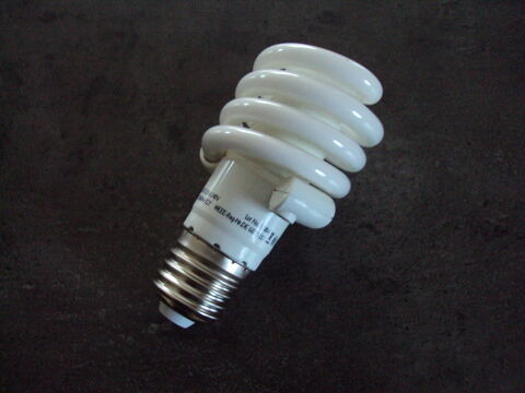 Lot d'ampoules conomiques 10 Fougres (35)