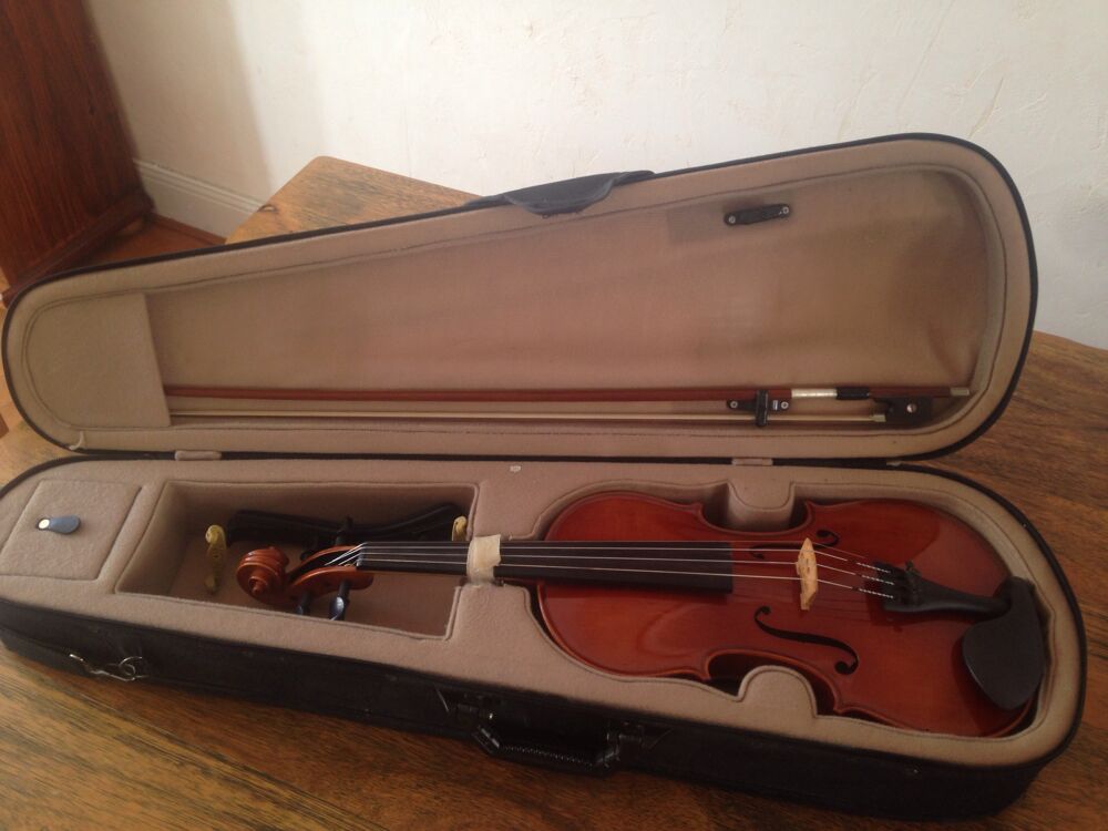 Violon entier Instruments de musique