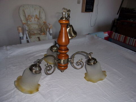 2 abats-jours 15 Caudebec-ls-Elbeuf (76)