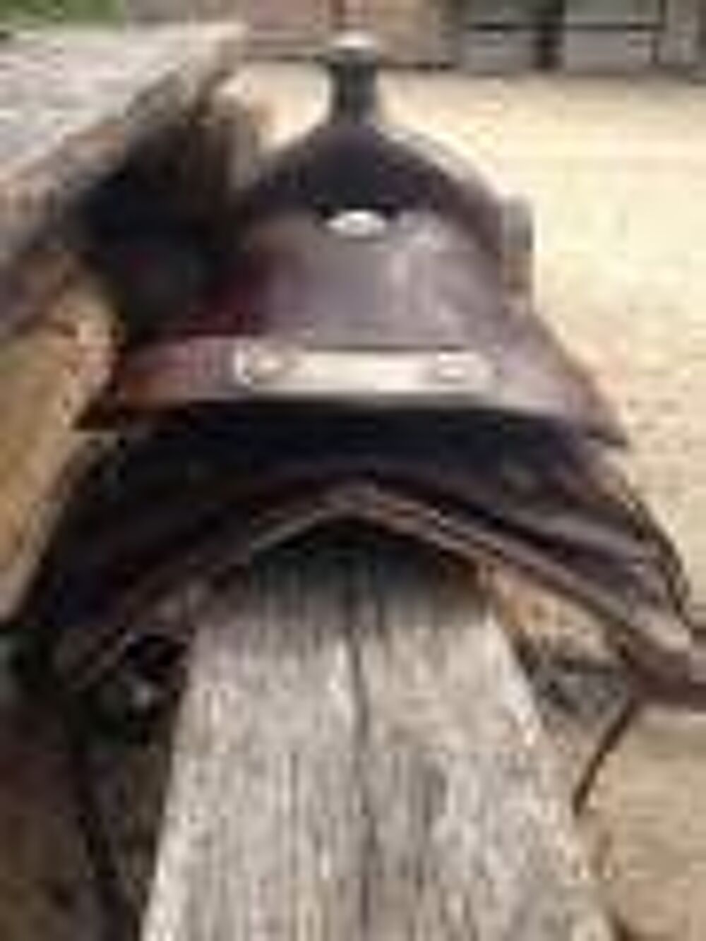 Selle western+ tapis western Sports