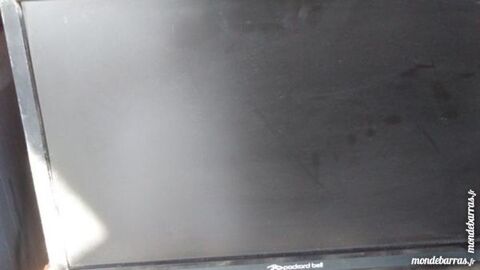  ECRAN ORDINATEUR 20    50 Firminy (42)