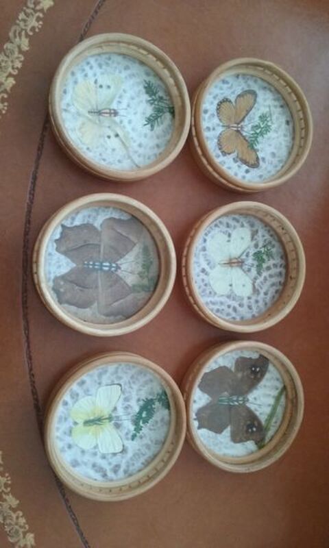 6 dessous de verres avec véritables papillons 10 Charenton-le-Pont (94)