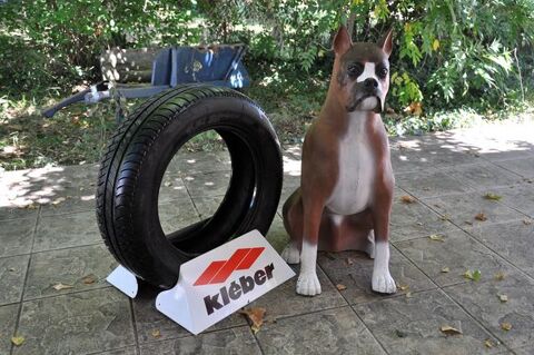 Mascotte Boxer des pneus Kléber 500 Biarritz (64)
