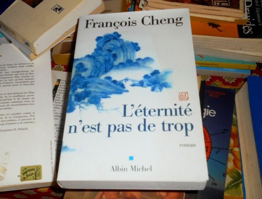 Roman l'Eternit&eacute; n'est pas de trop Fran&ccedil;ois Cheng Livres et BD