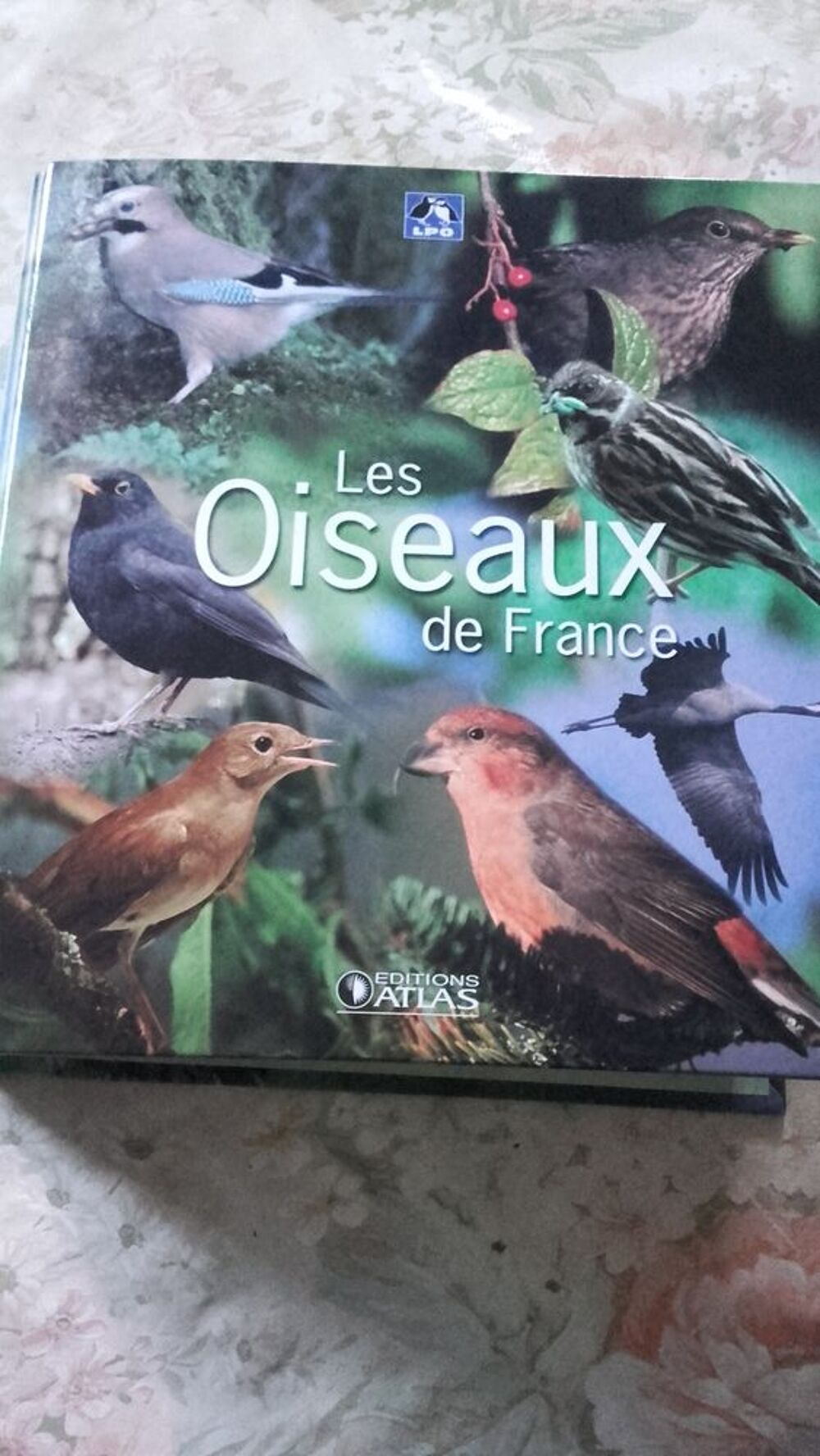 Livre classeur : les oiseaux de France. Collection atlas. Livres et BD