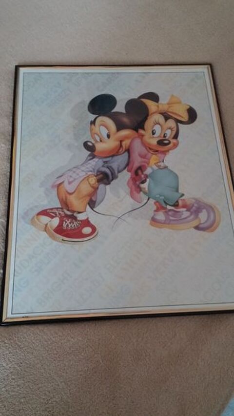 Cadre Mickey - Minnie 10 Nancy (54)