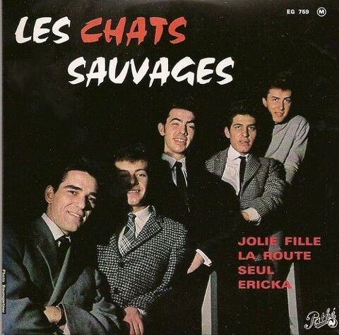 les chats sauvages Jolie fille 14 Maurepas (78)