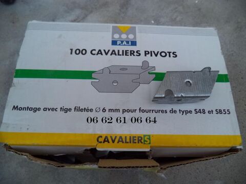 100 cavaliers pivots de suspentes 20 Cagnes-sur-Mer (06)
