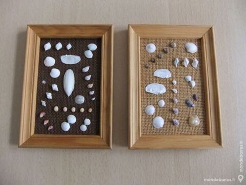 Cadres coquillages 6 Thiais (94)