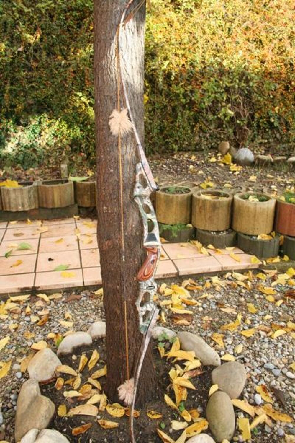 ARC HOYT DORADO GAUCHER Sports