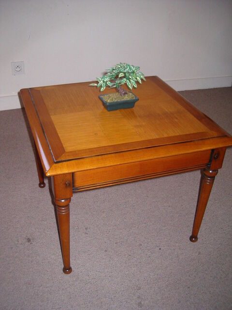 table dessus en bambou 80 Chtellerault (86)