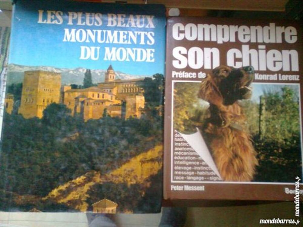 comprendre son chien-monuments du monde - zoe Livres et BD