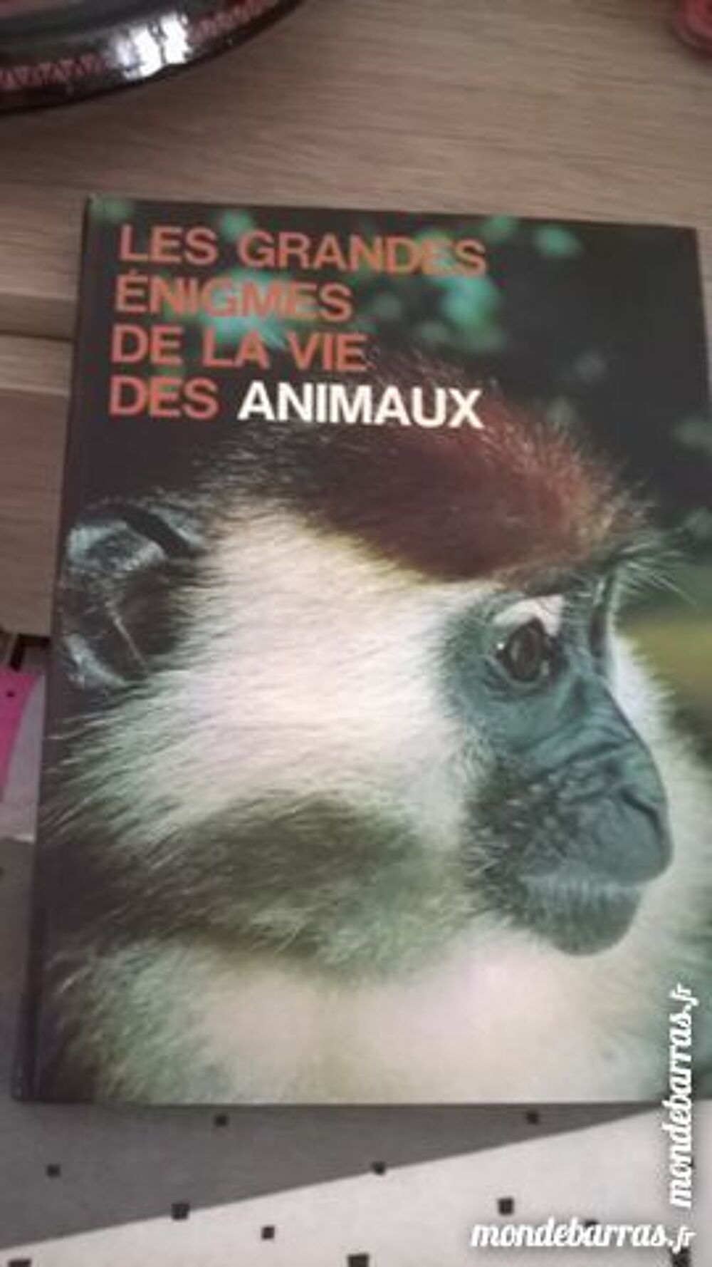 Les grandes &eacute;nigmes de la vie des animaux Livres et BD