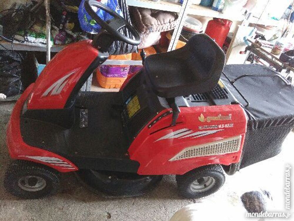 Tondeuse auto-port&eacute;e Jardin