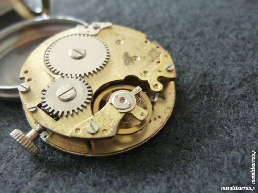 HARWESTER montre m&eacute;canique Suisse DIV0506 Bijoux et montres