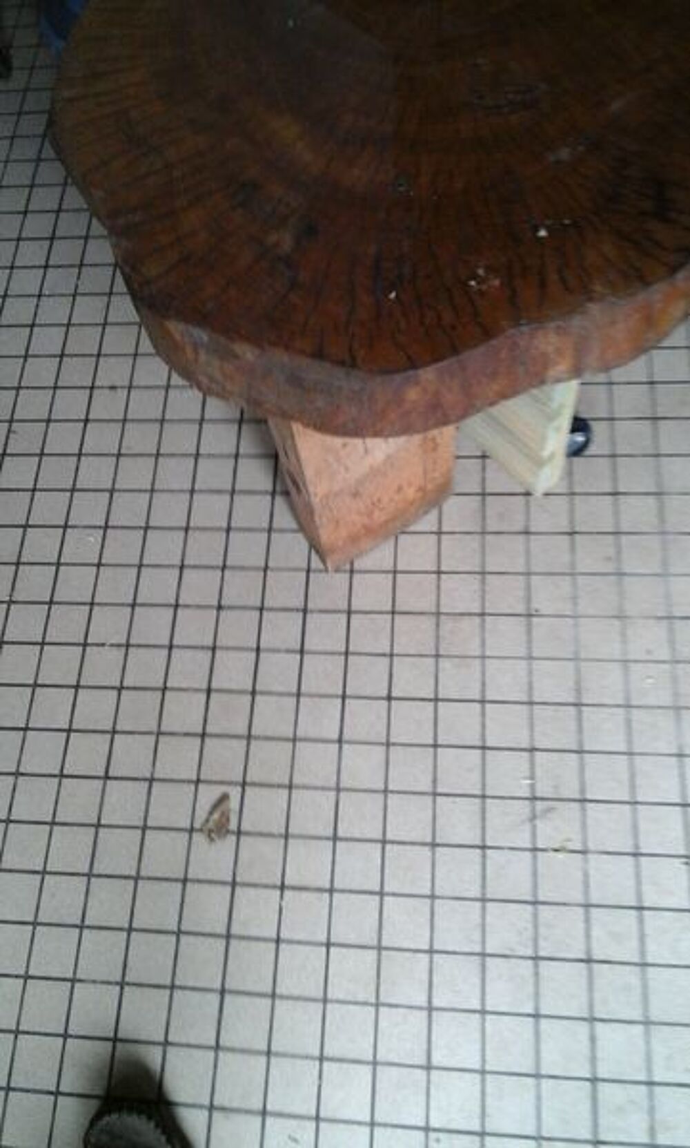 table basse originale Meubles