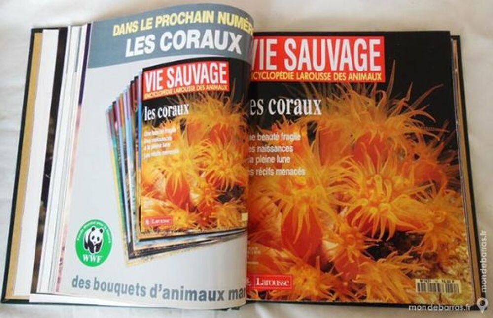 4 RELIURES LAROUSSE VIE SAUVAGE Livres et BD