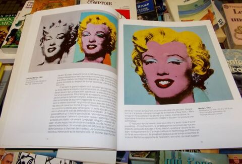 beau livre d'art andy warhol le pop art 1928 1987 10 Monflanquin (47)