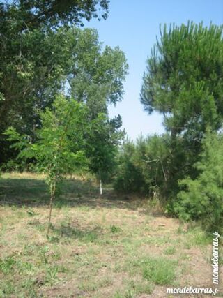  Terrain  vendre 800 m
