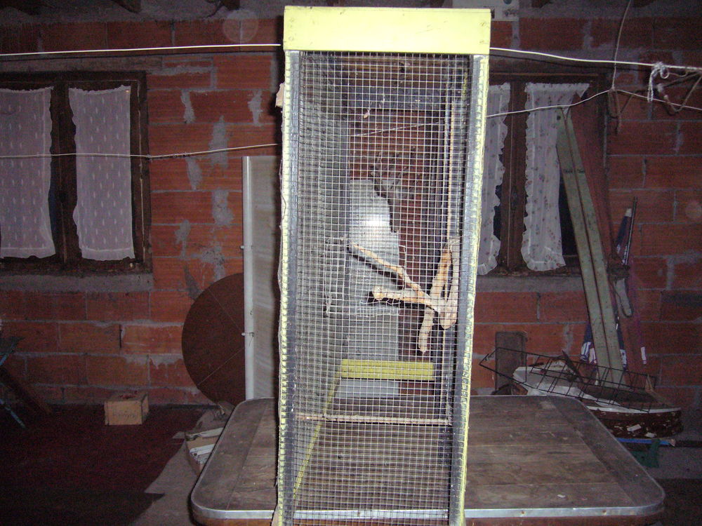cage Bricolage