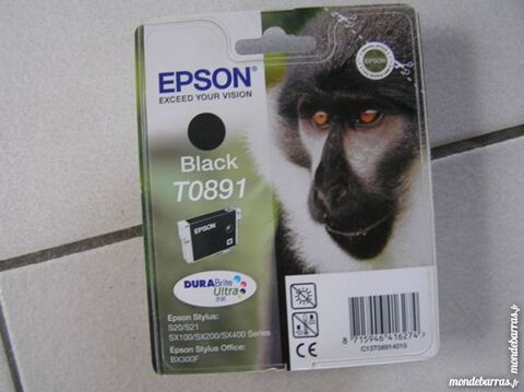 Cartouche noire EPSON T0891 5 Labge (31)