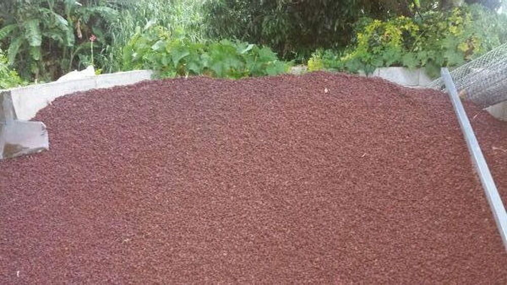 Scorie 20kg 4€ Jardin