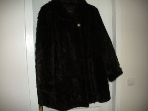 Manteau vison 500 Fonsorbes (31)
