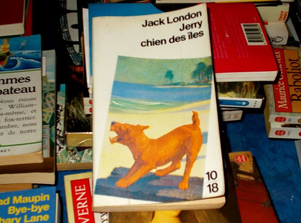 Jack London Jerry chien des &icirc;les 10/18 Livres et BD
