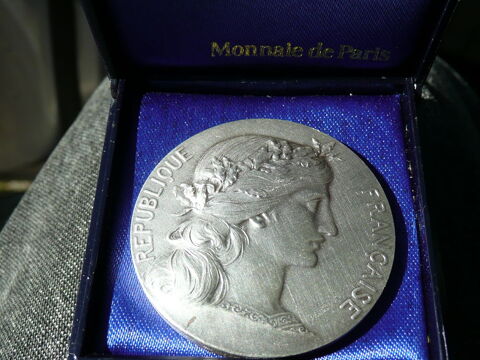 Mdaille Monnaie de Paris Ville de Bordeaux 25 Bordeaux (33)