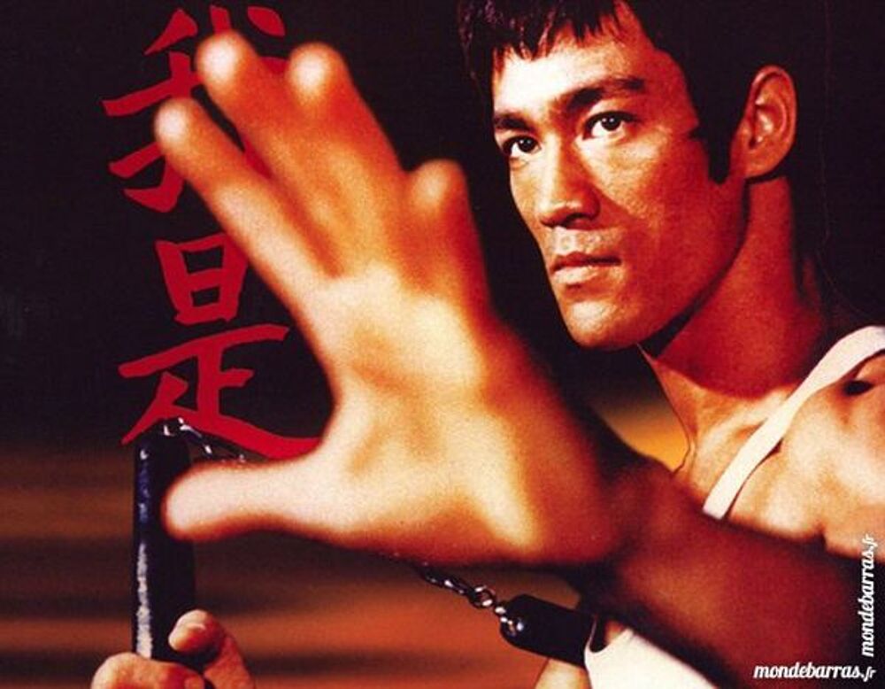 Dvd: Bruce Lee : la destin&eacute;e du Dragon (248) DVD et blu-ray