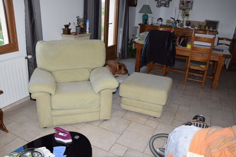 canape 2 place + fauteuil + pouf 300 Ouzouer-sur-Loire (45)