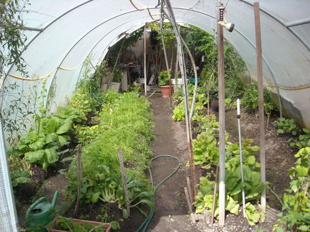 SERRE TONNEAU ABRI LEGUMES 4M X 10M/40m&sup2; Jardin