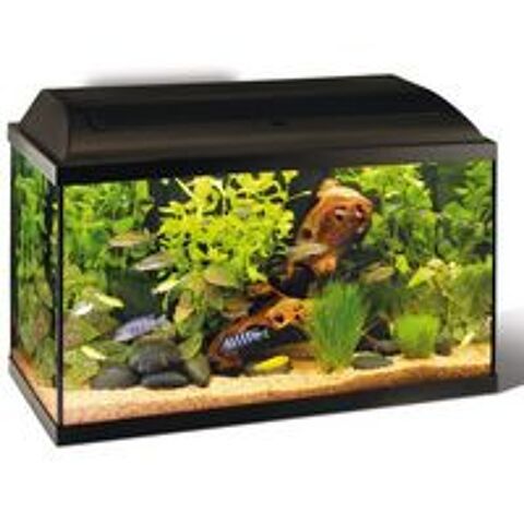   Recup�re poisson  exotique ou  d'eau froide 