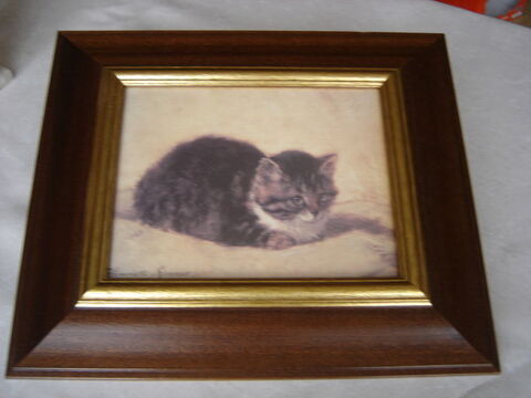 beau tableau chat comme neuf 20 Charleville-Mzires (08)