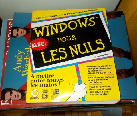 Windows pour les nuls 7 Monflanquin (47)