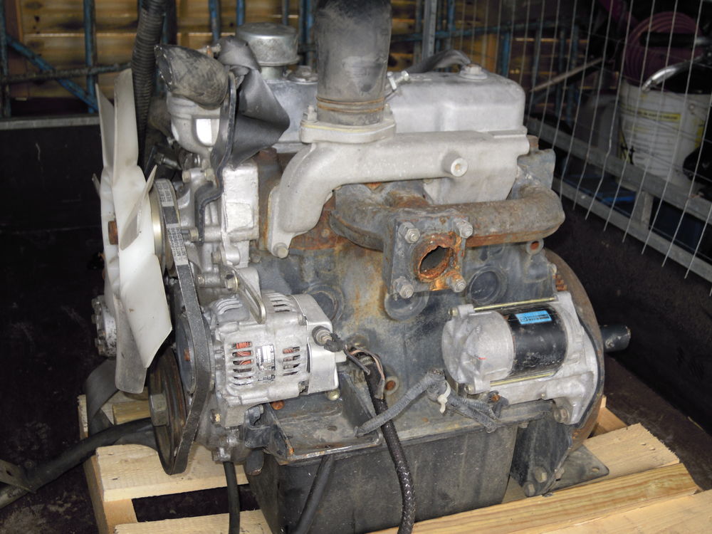MOTEUR IZEKI E3AE1 1296L Jardin