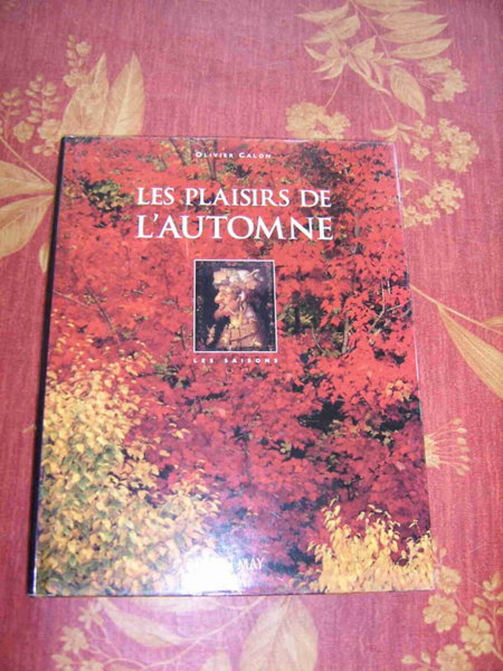 Les plaisirs de l'automne Livres et BD