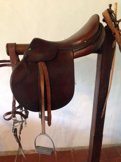 selle D Anjoue 250 Pont De Rastel (30)