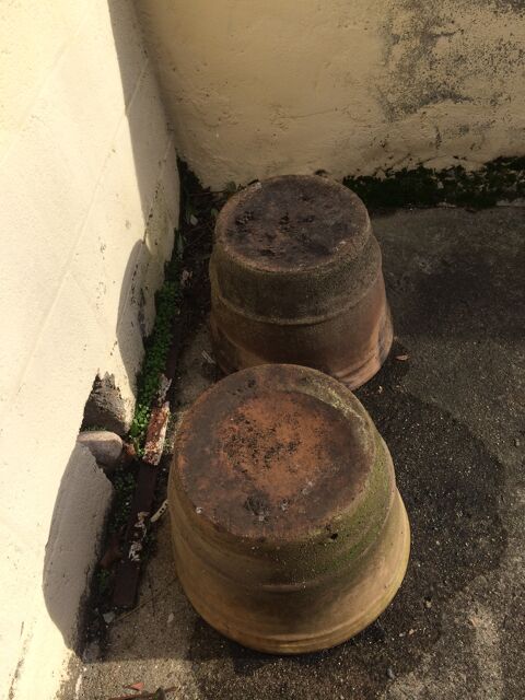 pot terre cuite 35 Saint-tienne (42)