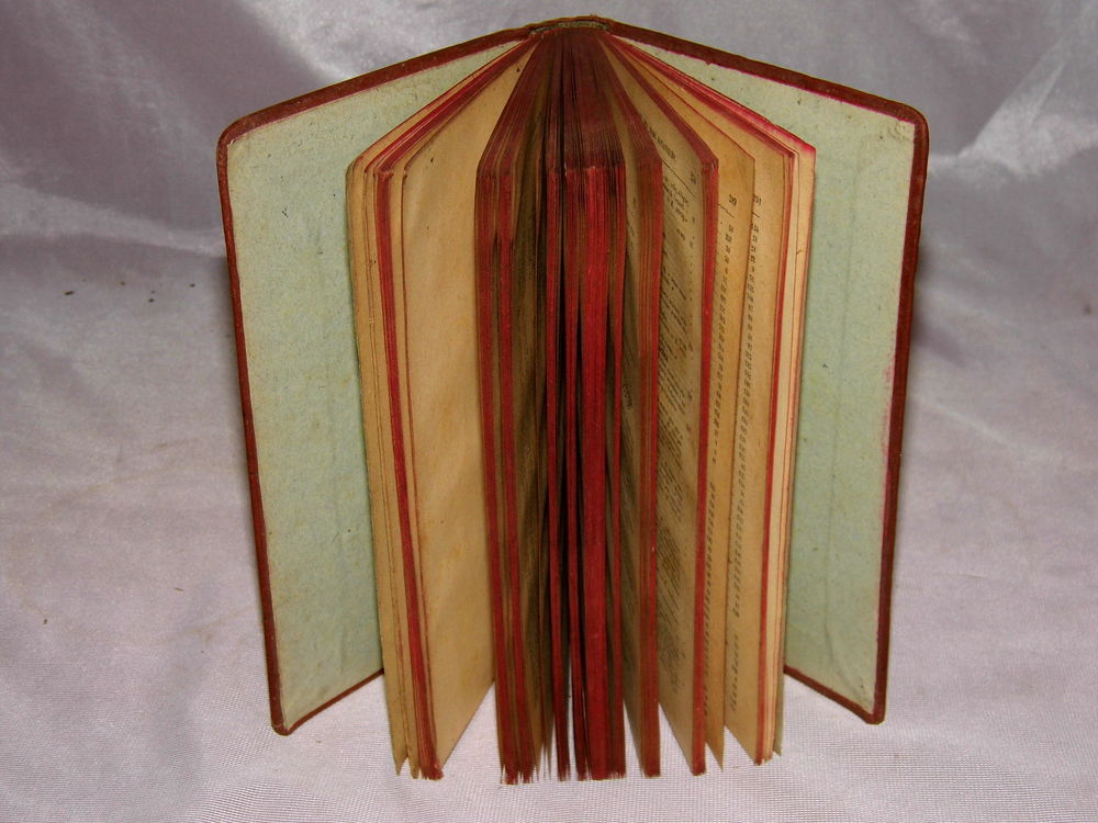 FLORE du NORD de la FRANCE et BELGIQUE Livre ancien botanique 