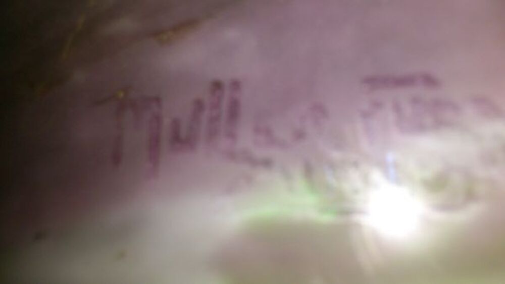 lustre muller Décoration