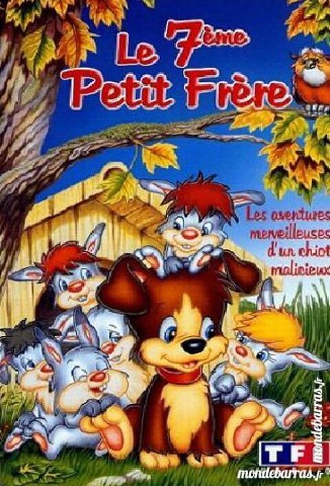 K7 Vhs: Le 7ème petit frère (49) 6 Saint-Quentin (02)