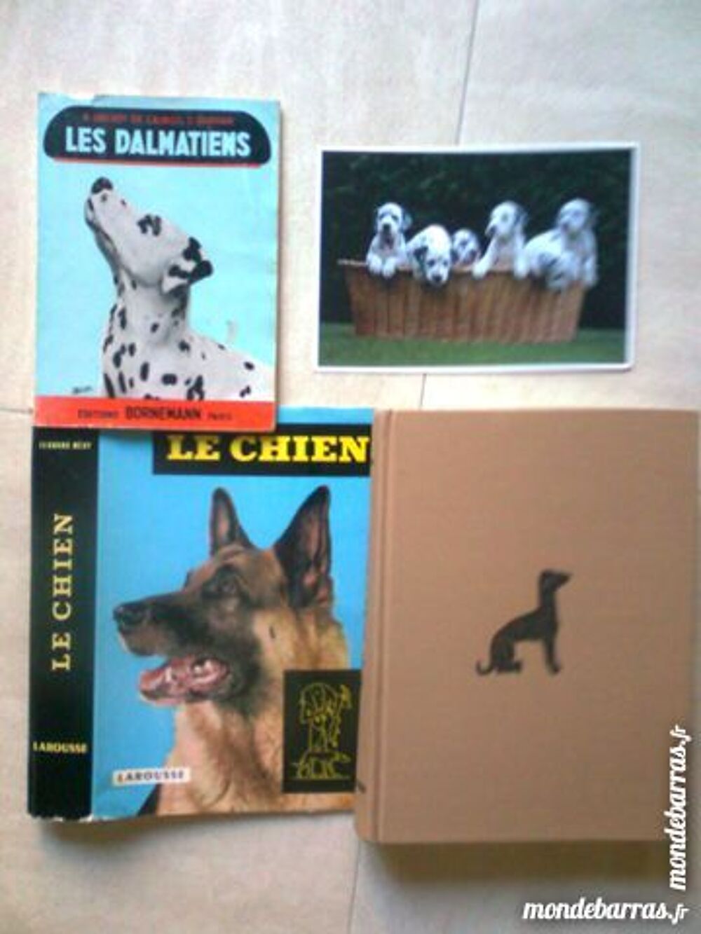 encyclop&eacute;die canine LE CHIEN - zoe Livres et BD