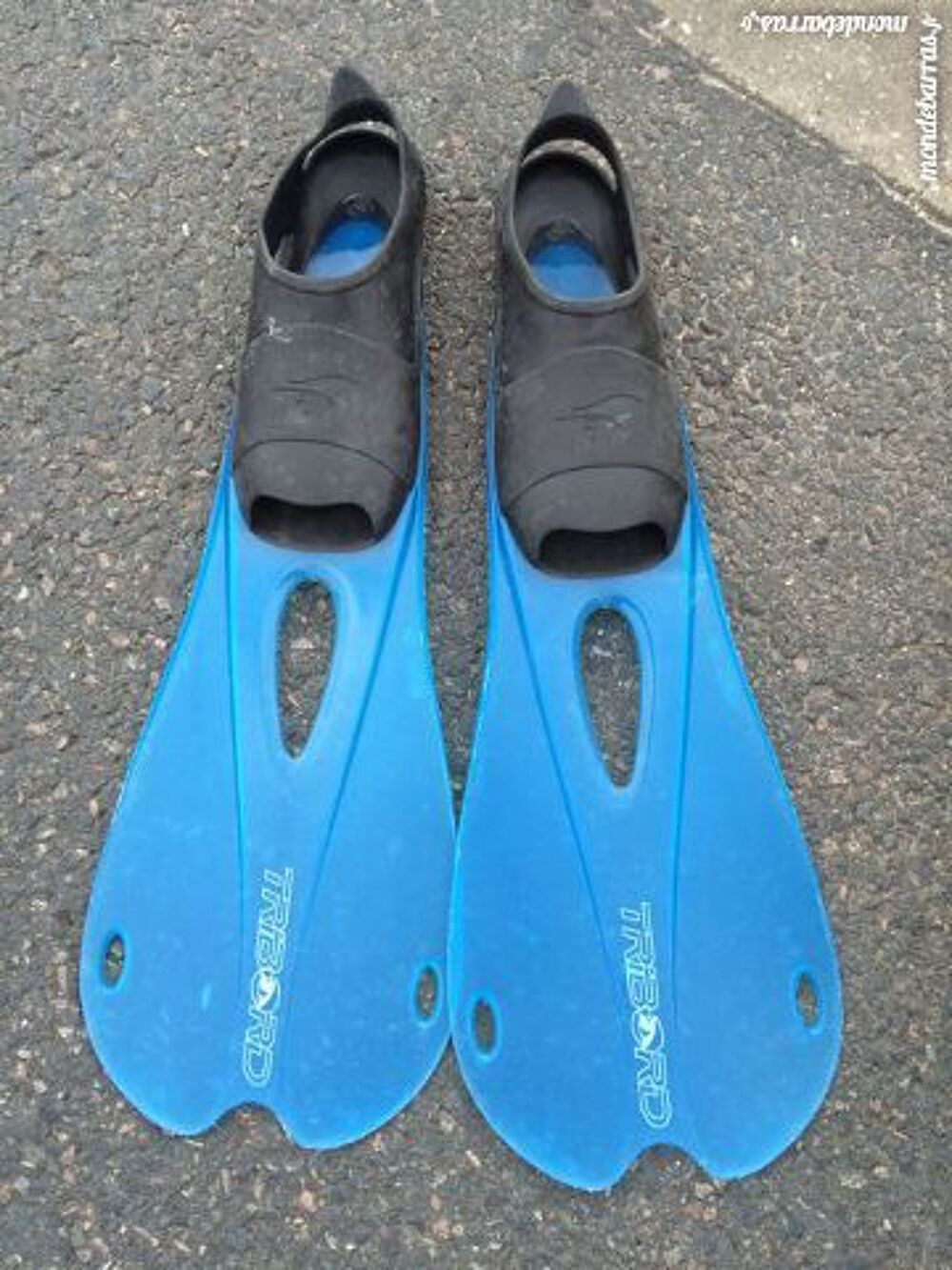 grande palme Sports