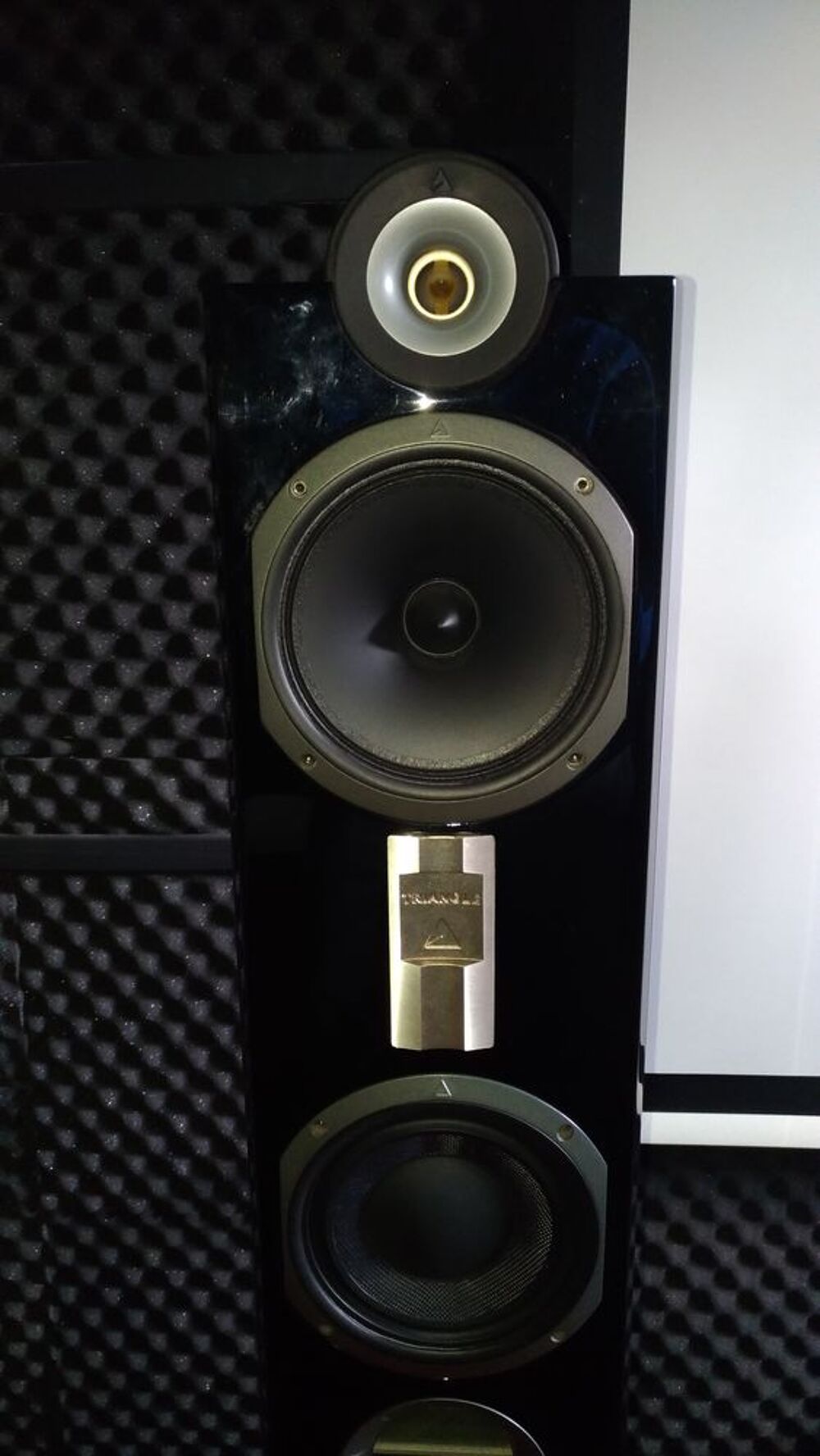 ENCEINTES TRIANGLE GENESE QUARTET ACAJOU Audio et hifi