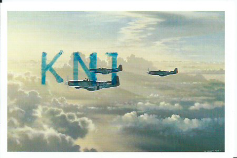  C P M , avion Mustang P 51D 4 Tours (37)